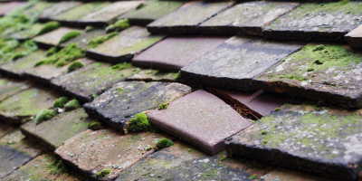 Weston Under Redcastle roof repair costs